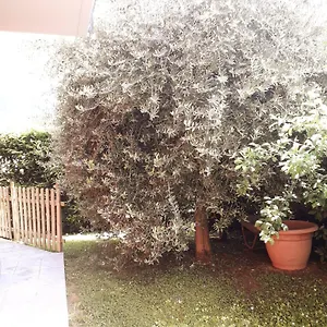 Beb Ulivo Bed & Breakfast Santa Giuletta